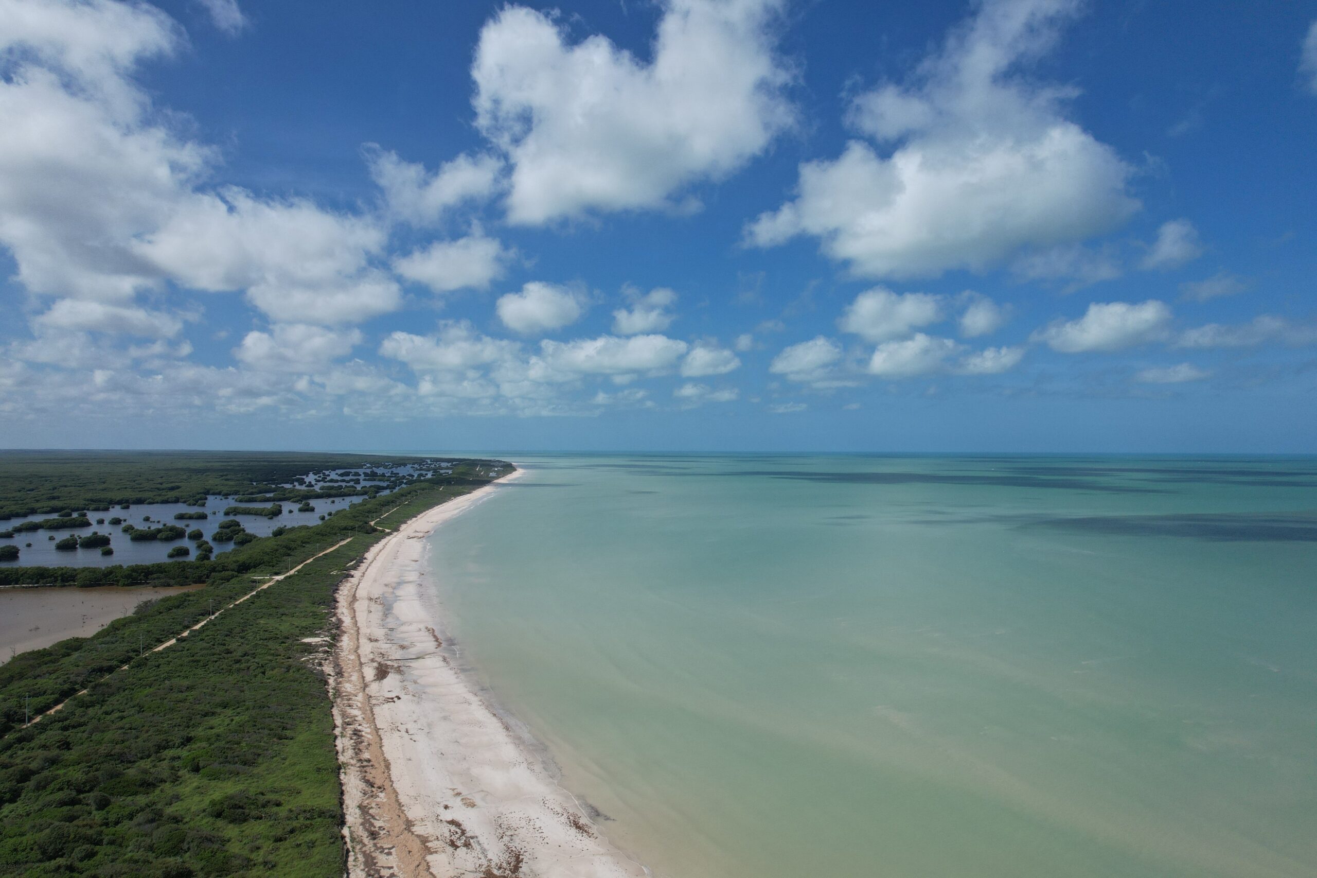 La revolución de los datos en la ingeniería costera: De la incertidumbre a la precisión